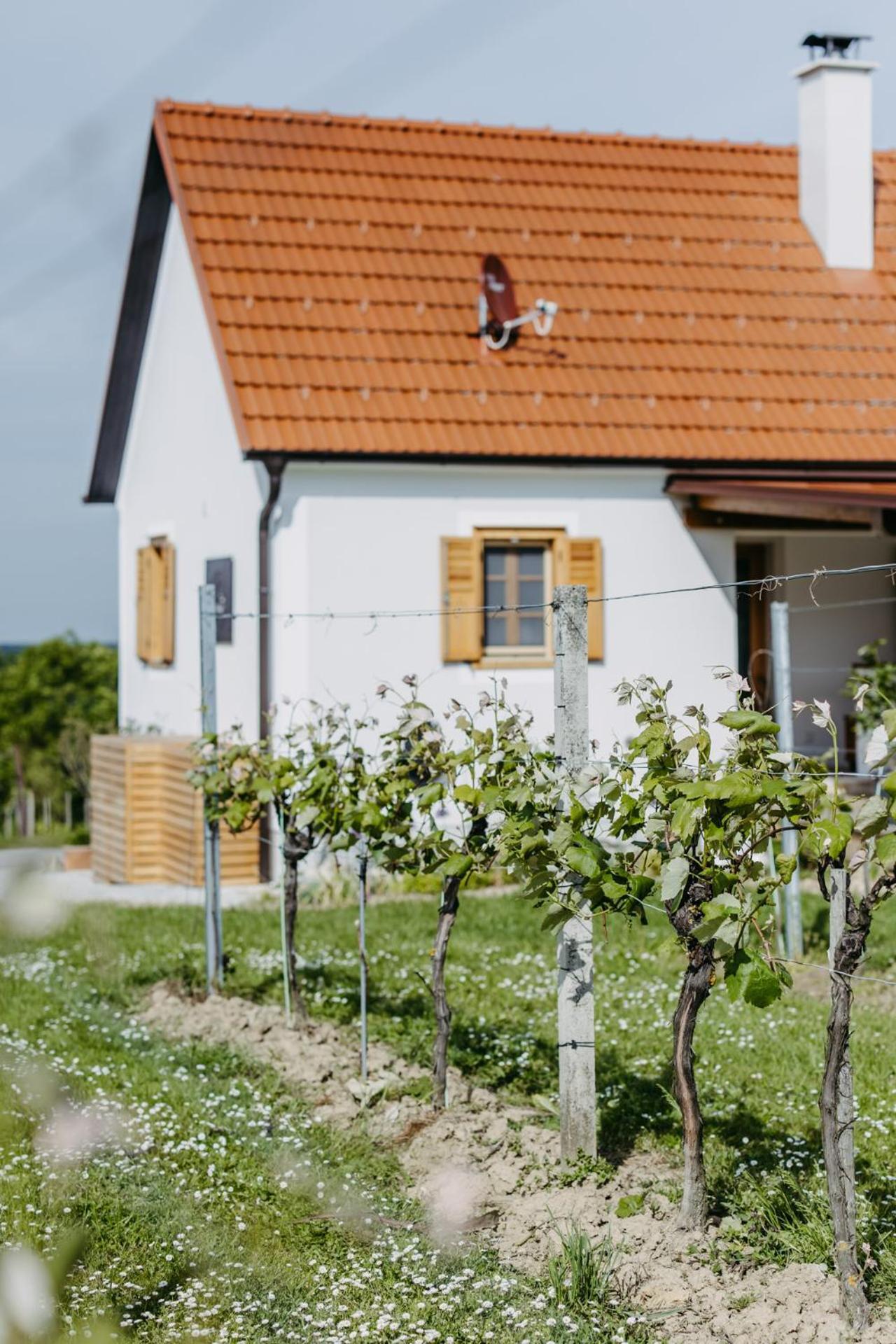 Urlaub Im Kellerstoeckl Dunst Strem Quarto foto